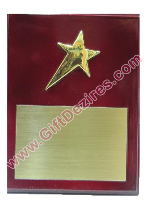 Wooden Plaque with Star